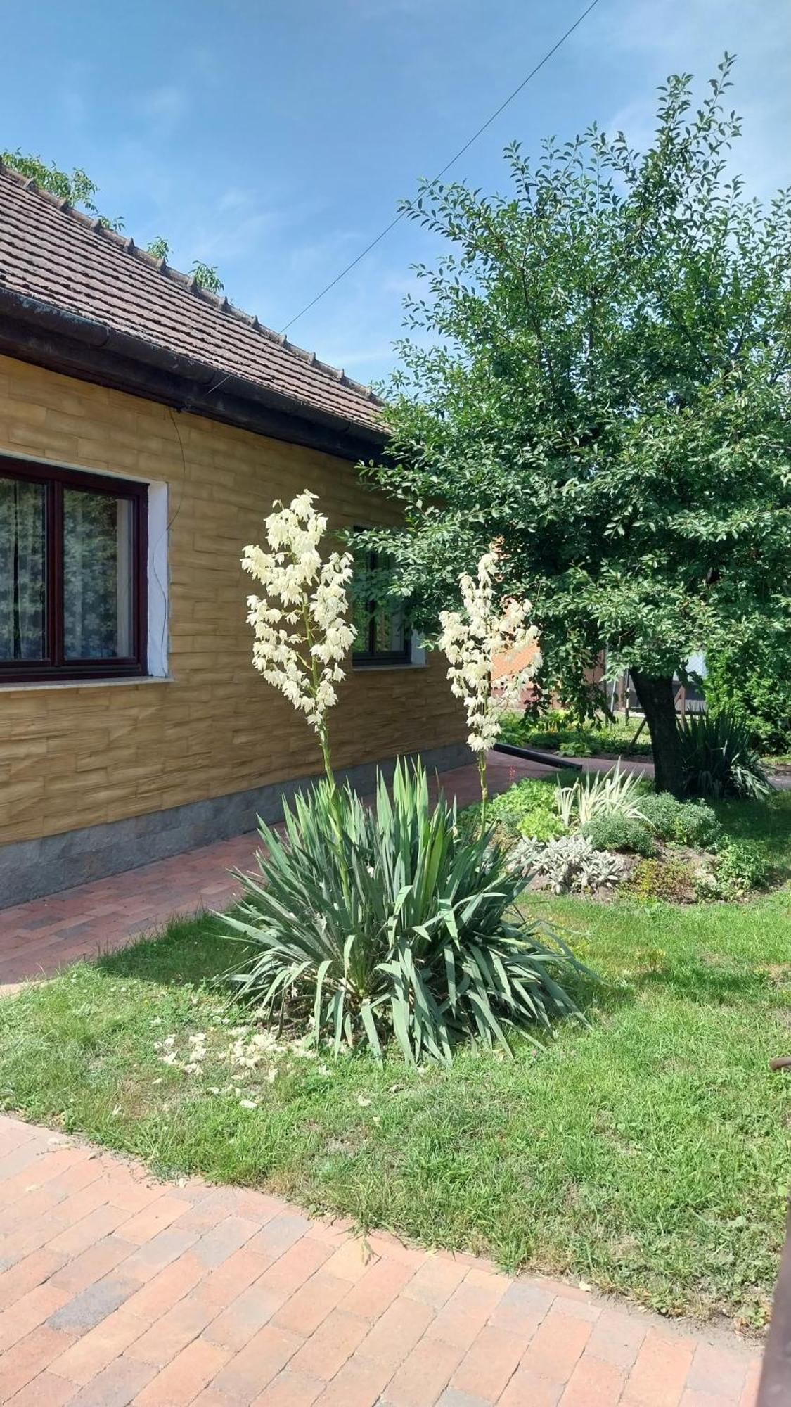 Haven Katherina Fonyodliget Exteriör bild